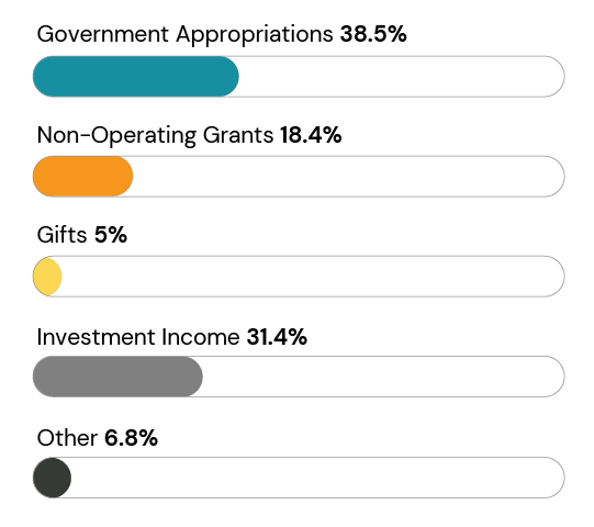 2_IPM-Charts-Non-Operating Rev-4-Year-Public
