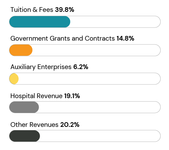 3_IPM-Charts-Operating Rev-4-Year-Private