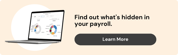 ID: On the left is a laptop showcasing the Labor Cost Analytics product. On the right text reads, "find out what's hidden in your payroll." A button that says Learn More sits below it.